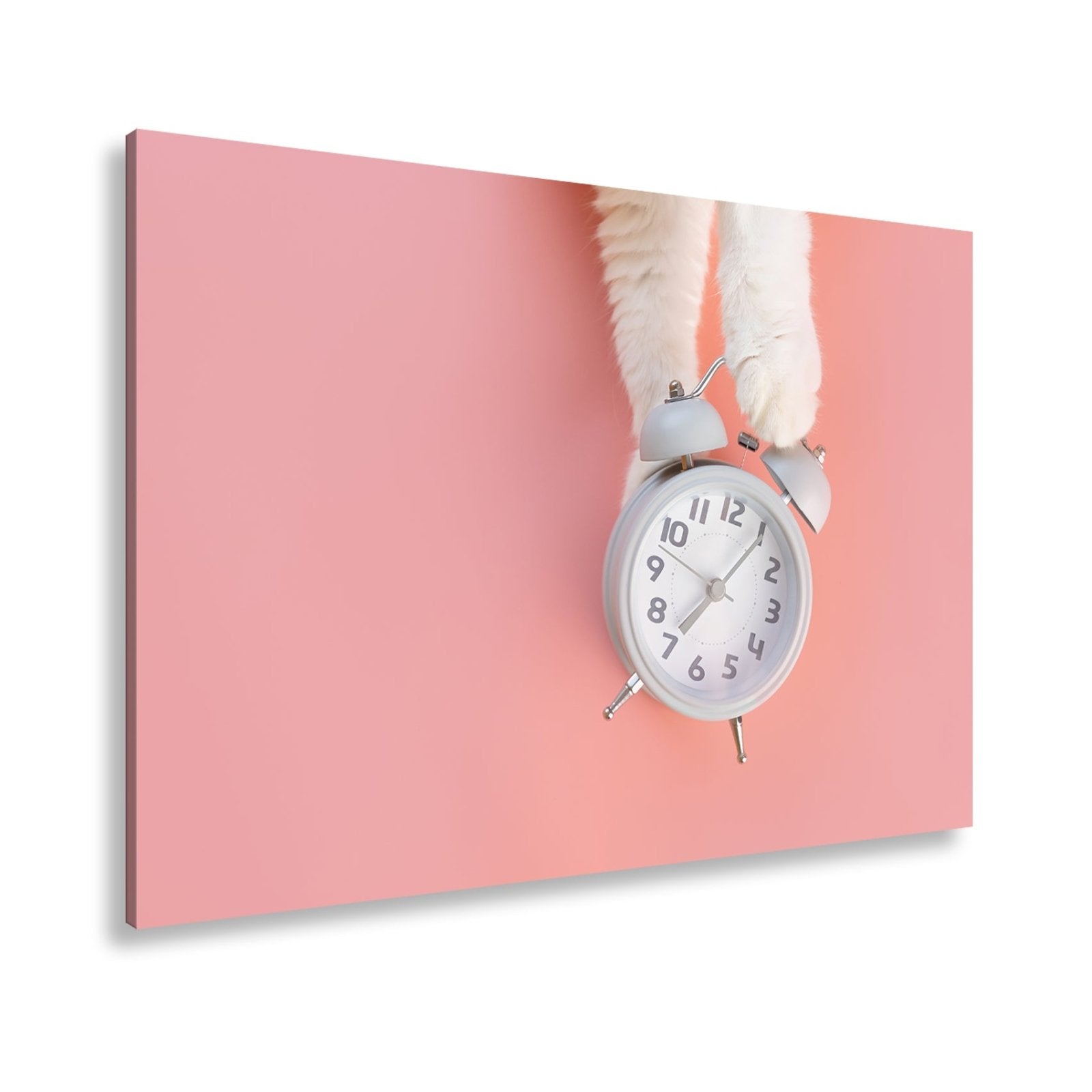 Leinwandbild Flauschige Pfoten halten die Zeit auf rosa Grund. - deyoli