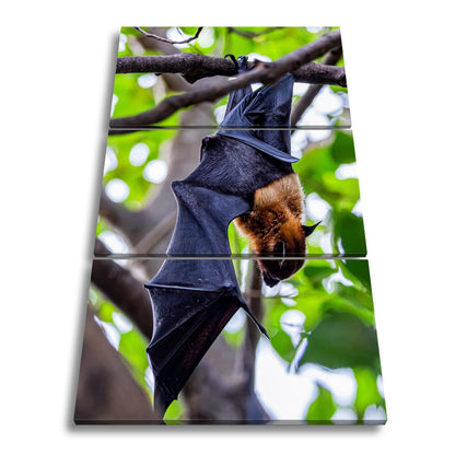 Leinwandbild Fledermaus XXL – Kopfüber im Sonnenlicht Naturmotiv - deyoli