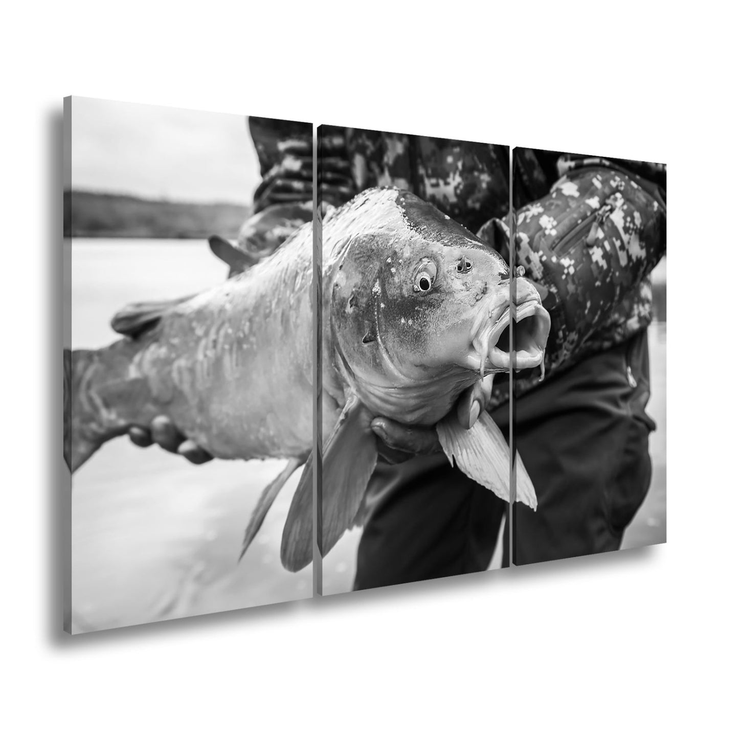 Leinwandbild Frisch gefangener Karpfen glänzt in kräftiger Hand. - deyoli