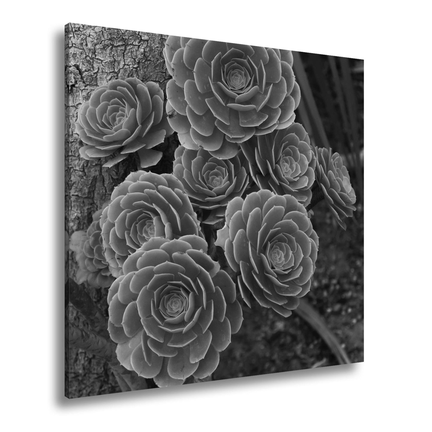 Leinwandbild Geometrie der Natur in saftigem Grün XXL – Pflanzen Wandbild - deyoli
