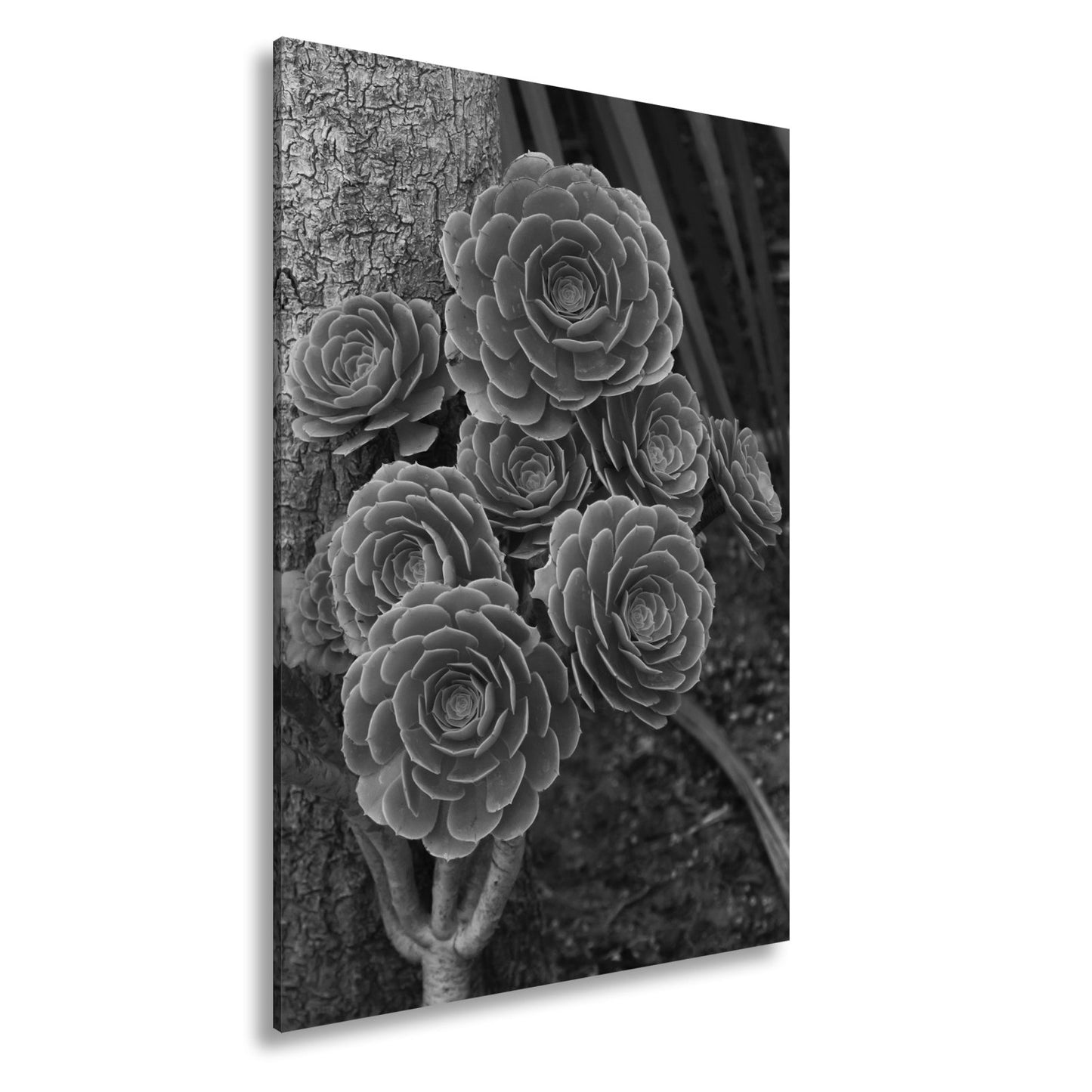Leinwandbild Geometrie der Natur in saftigem Grün XXL – Pflanzen Wandbild - deyoli