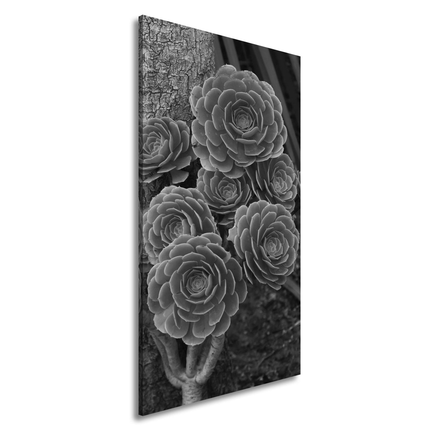 Leinwandbild Geometrie der Natur in saftigem Grün XXL – Pflanzen Wandbild - deyoli