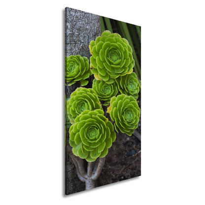 Leinwandbild Geometrie der Natur in saftigem Grün XXL – Pflanzen Wandbild - deyoli