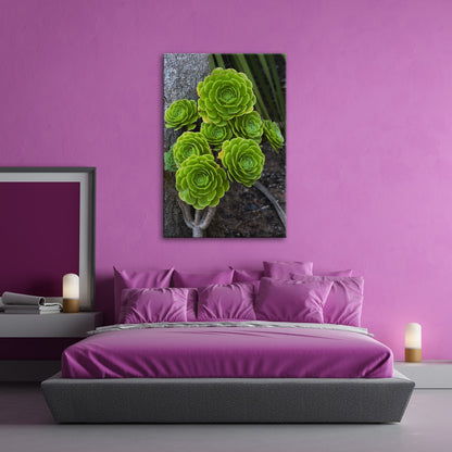 Leinwandbild Geometrie der Natur in saftigem Grün XXL – Pflanzen Wandbild - deyoli