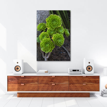 Leinwandbild Geometrie der Natur in saftigem Grün XXL – Pflanzen Wandbild - deyoli