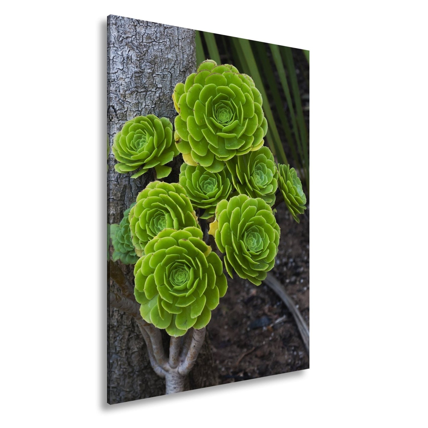 Leinwandbild Geometrie der Natur in saftigem Grün XXL – Pflanzen Wandbild - deyoli
