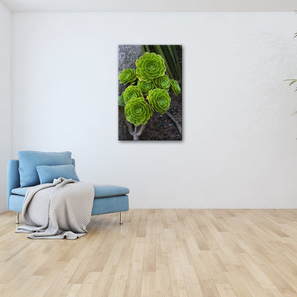 Leinwandbild Geometrie der Natur in saftigem Grün XXL – Pflanzen Wandbild - deyoli