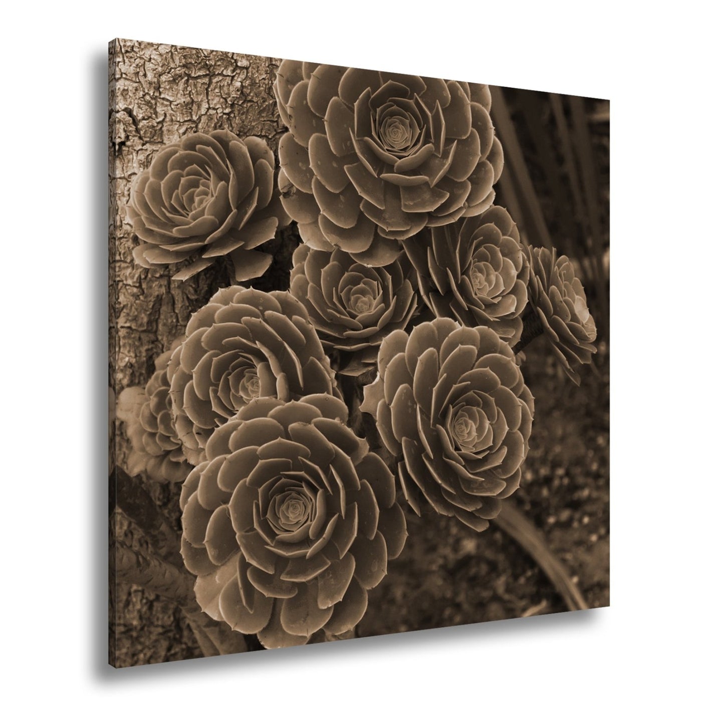 Leinwandbild Geometrie der Natur in saftigem Grün XXL – Pflanzen Wandbild - deyoli