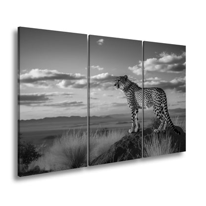 Leinwandbild Gepard auf Gipfel – Wächter der Savanne bei Sonnenlicht. - deyoli