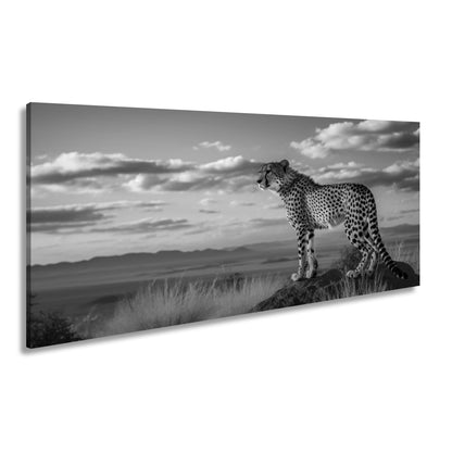 Leinwandbild Gepard auf Gipfel – Wächter der Savanne bei Sonnenlicht. - deyoli