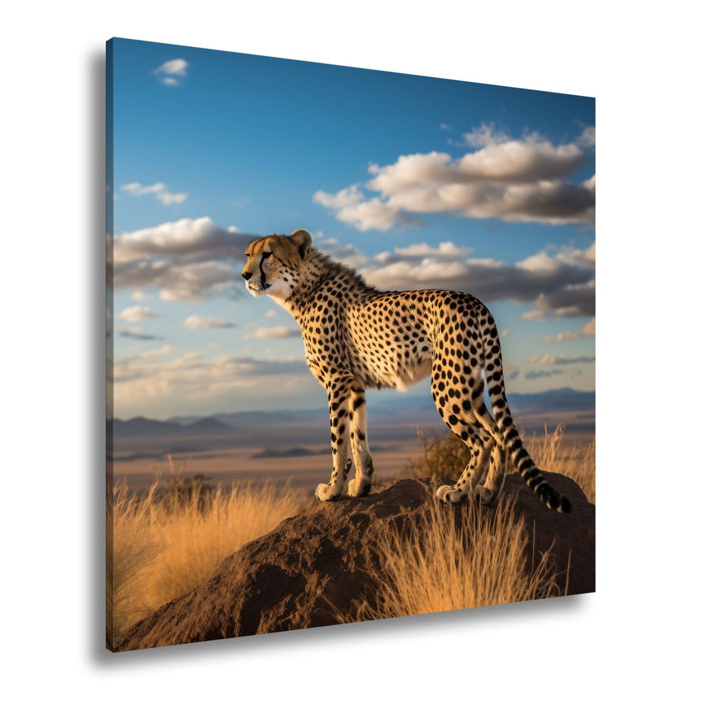 Leinwandbild Gepard auf Gipfel – Wächter der Savanne bei Sonnenlicht. - deyoli