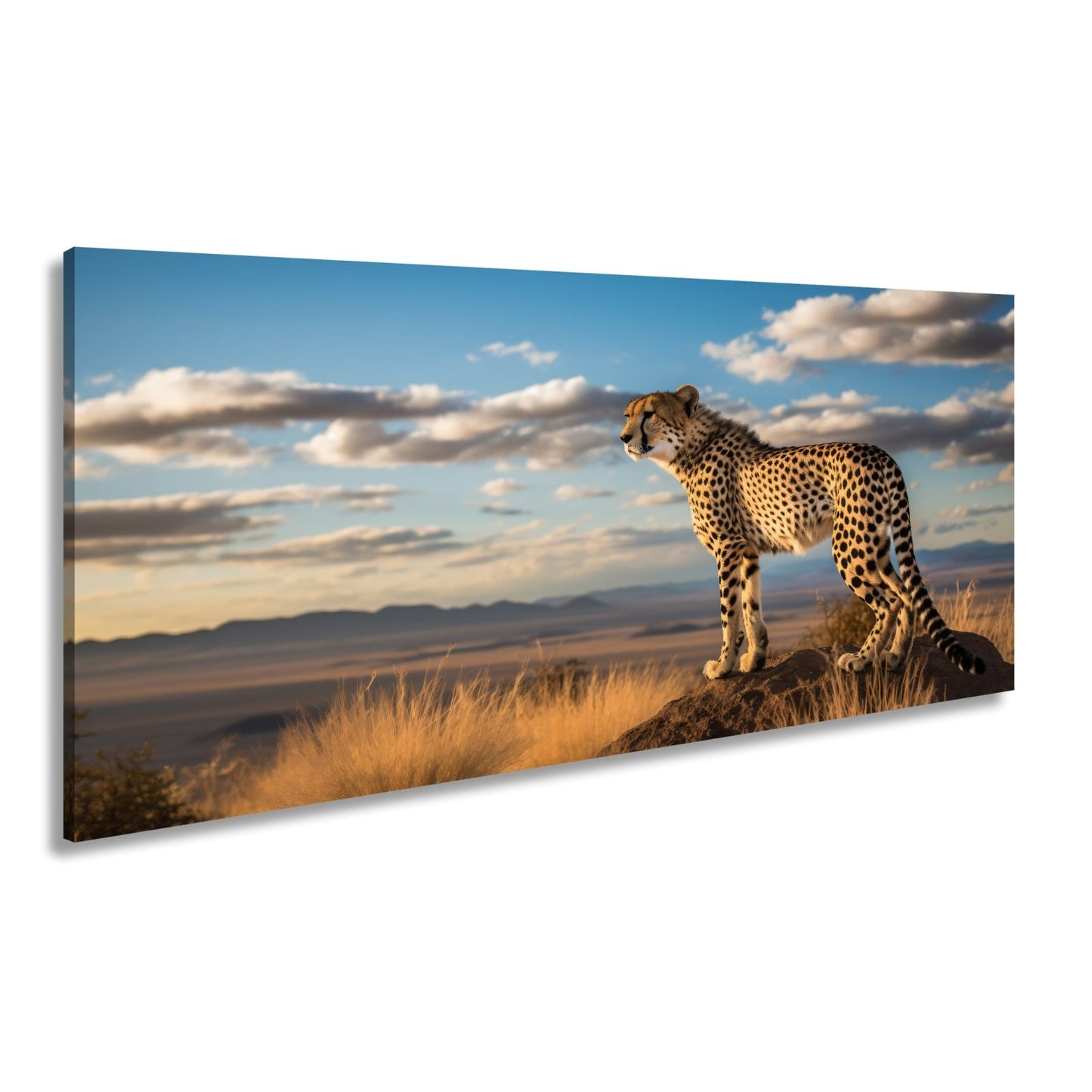 Leinwandbild Gepard auf Gipfel – Wächter der Savanne bei Sonnenlicht. - deyoli