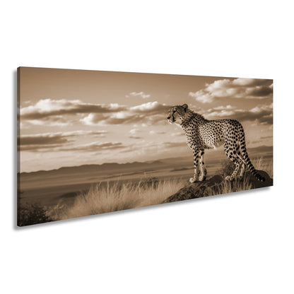 Leinwandbild Gepard auf Gipfel – Wächter der Savanne bei Sonnenlicht. - deyoli