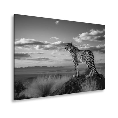 Leinwandbild Gepard auf Gipfel – Wächter der Savanne bei Sonnenlicht. - deyoli
