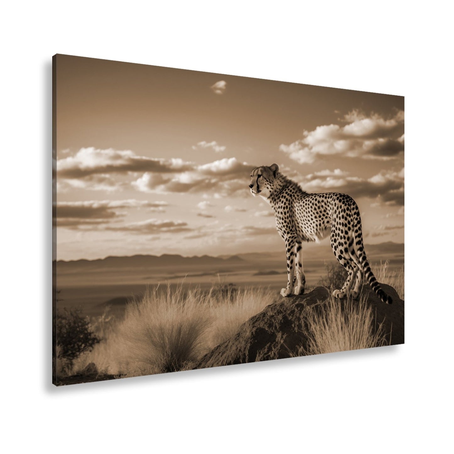 Leinwandbild Gepard auf Gipfel – Wächter der Savanne bei Sonnenlicht. - deyoli