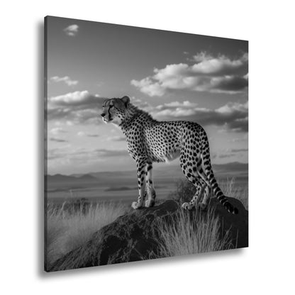 Leinwandbild Gepard auf Gipfel – Wächter der Savanne bei Sonnenlicht. - deyoli