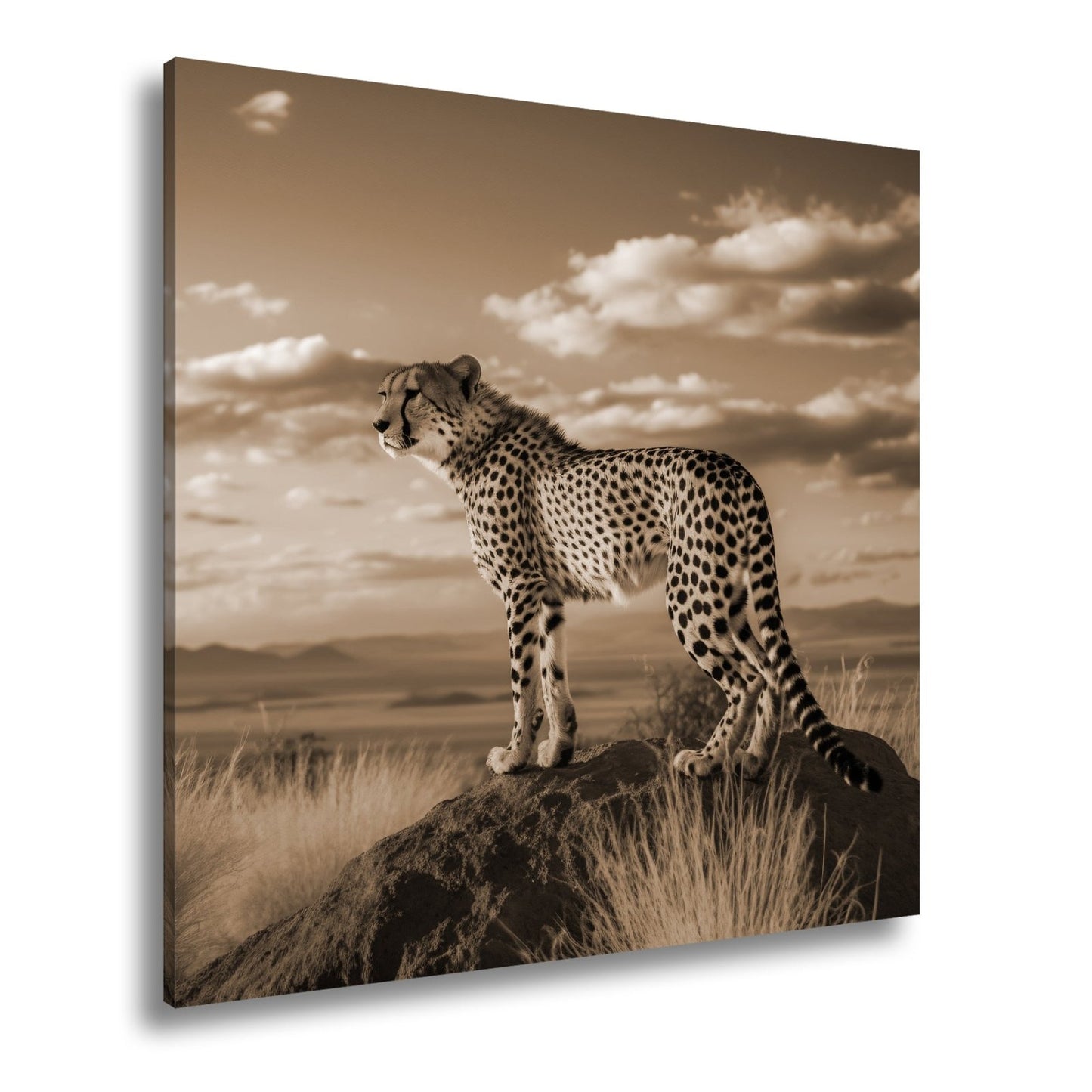 Leinwandbild Gepard auf Gipfel – Wächter der Savanne bei Sonnenlicht. - deyoli