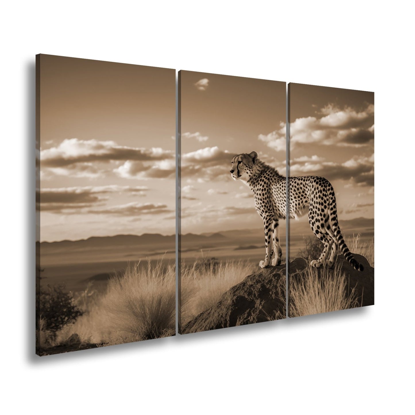 Leinwandbild Gepard auf Gipfel – Wächter der Savanne bei Sonnenlicht. - deyoli