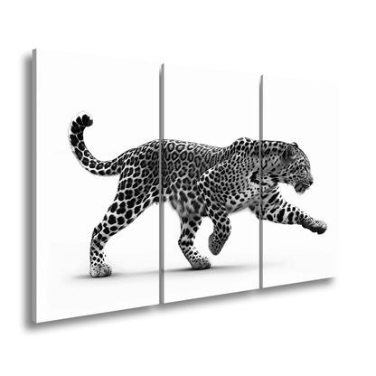Leinwandbild Gepard in Bewegung – Eleganz trifft auf explosive Kraft. - deyoli