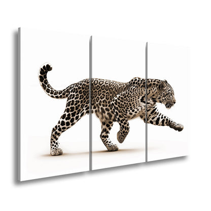 Leinwandbild Gepard in Bewegung – Eleganz trifft auf explosive Kraft. - deyoli