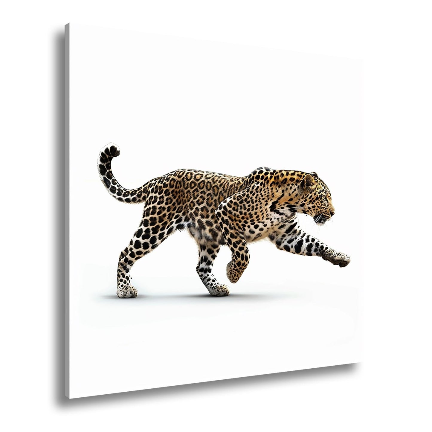 Leinwandbild Gepard in Bewegung – Eleganz trifft auf explosive Kraft. - deyoli
