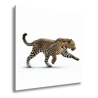 Leinwandbild Gepard in Bewegung – Eleganz trifft auf explosive Kraft. - deyoli