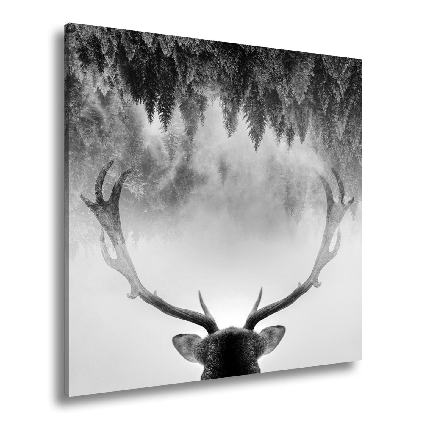 Leinwandbild Geweih trifft Nebel – Mystischer Spiegelwald XXL - deyoli