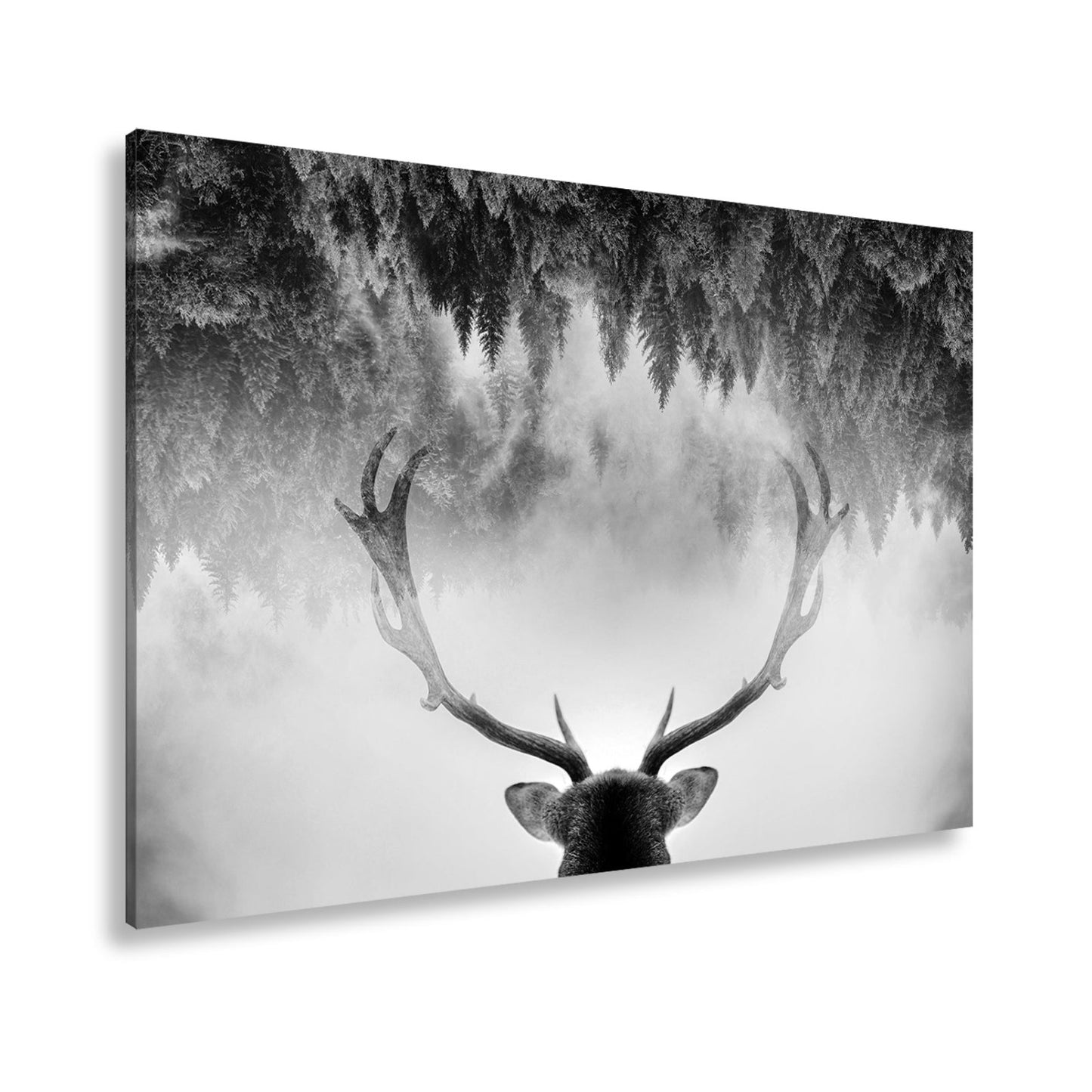 Leinwandbild Geweih trifft Nebel – Mystischer Spiegelwald XXL - deyoli