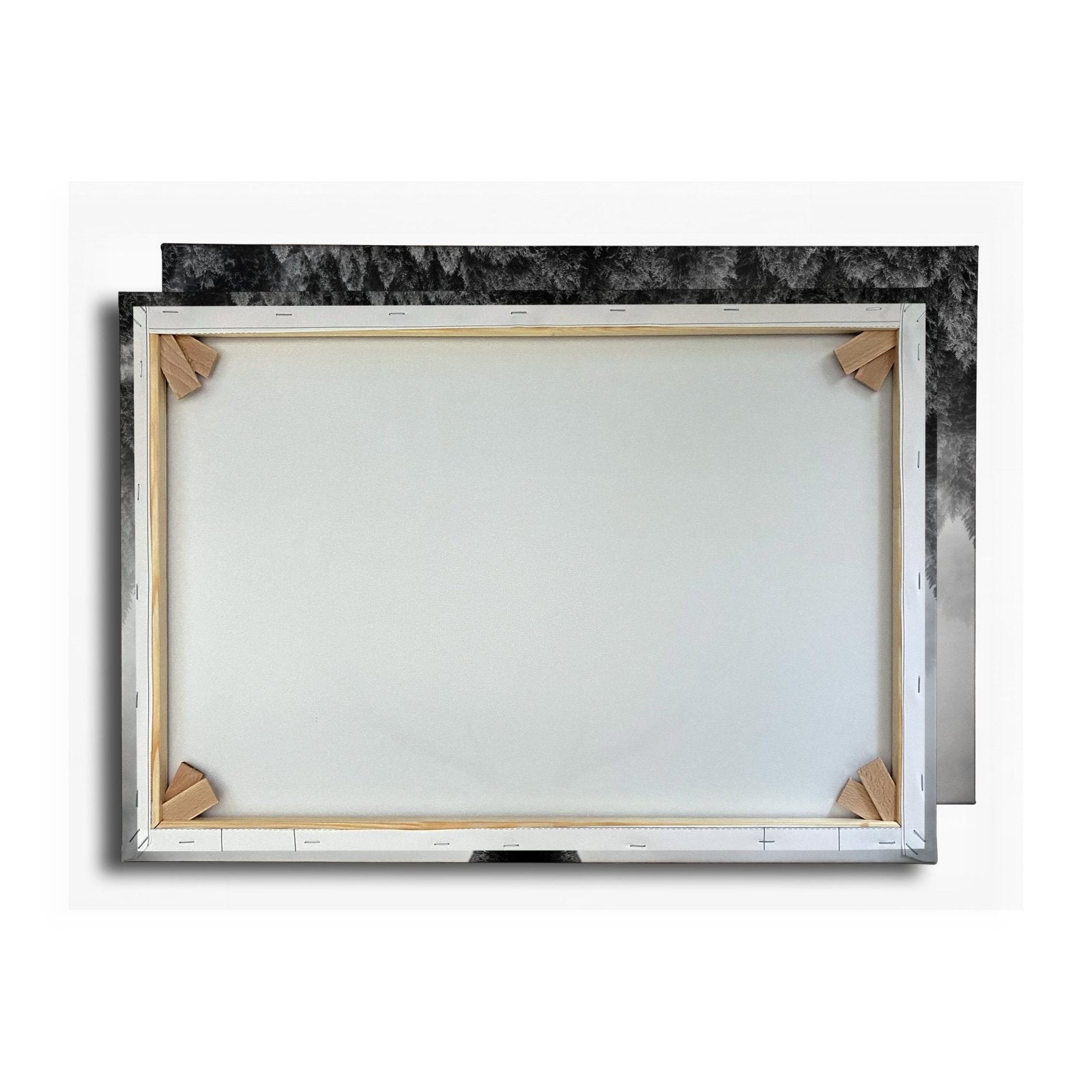 Leinwandbild Geweih trifft Nebel – Mystischer Spiegelwald XXL - deyoli