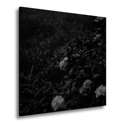 Leinwandbild Glühwürmchen tanzen über nächtlichen Blüten - deyoli
