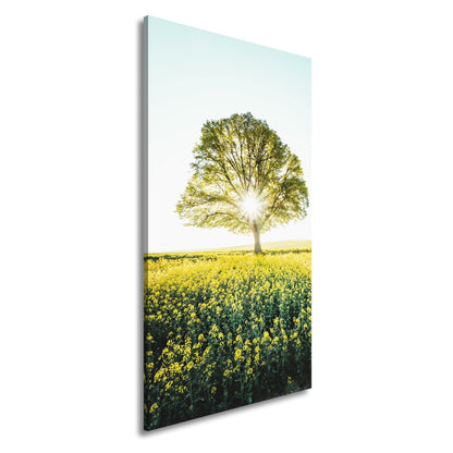 Leinwandbild Goldene Sonne küsst den Baum im Meer aus Blüten. - deyoli