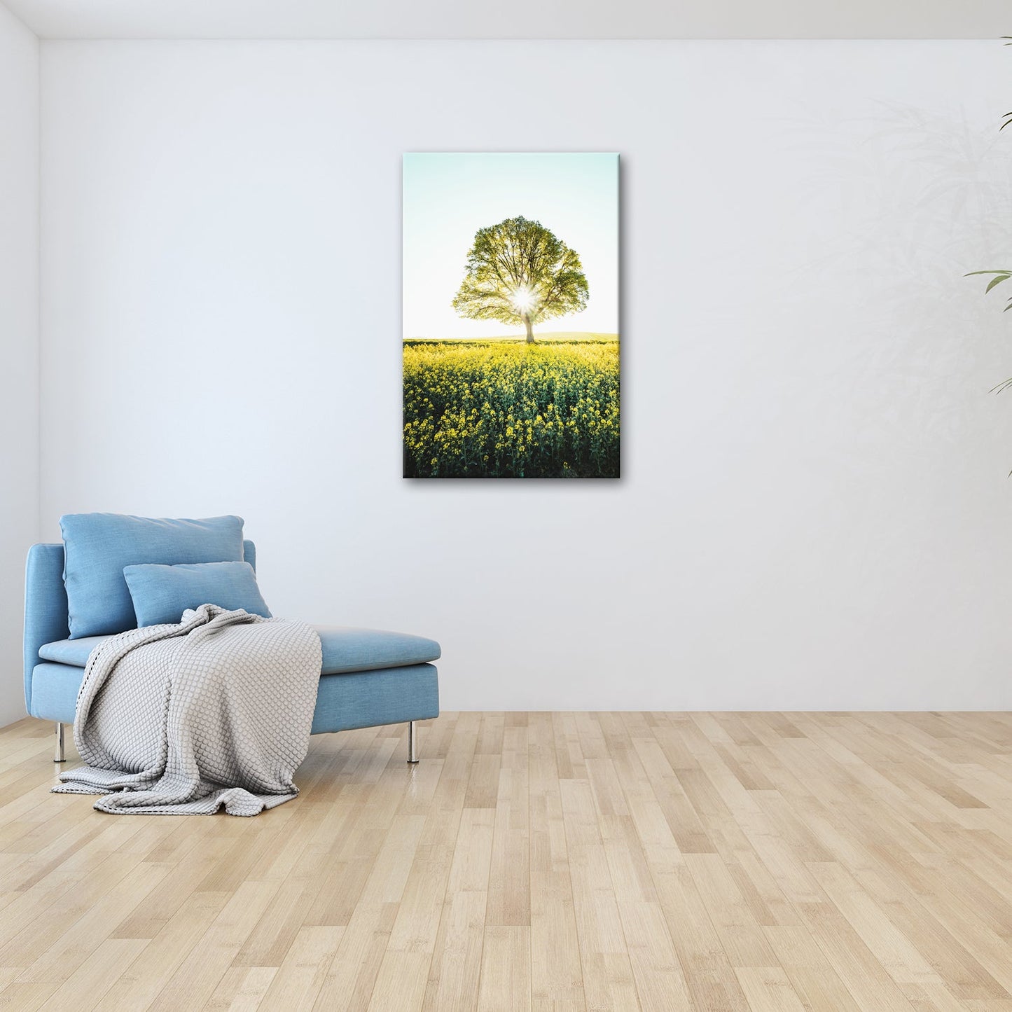 Leinwandbild Goldene Sonne küsst den Baum im Meer aus Blüten. - deyoli