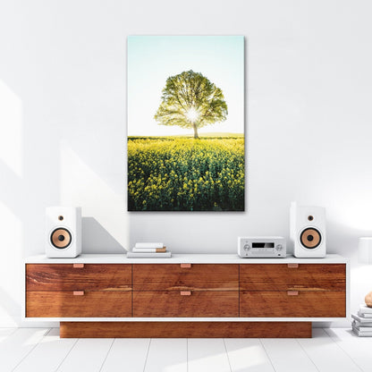 Leinwandbild Goldene Sonne küsst den Baum im Meer aus Blüten. - deyoli