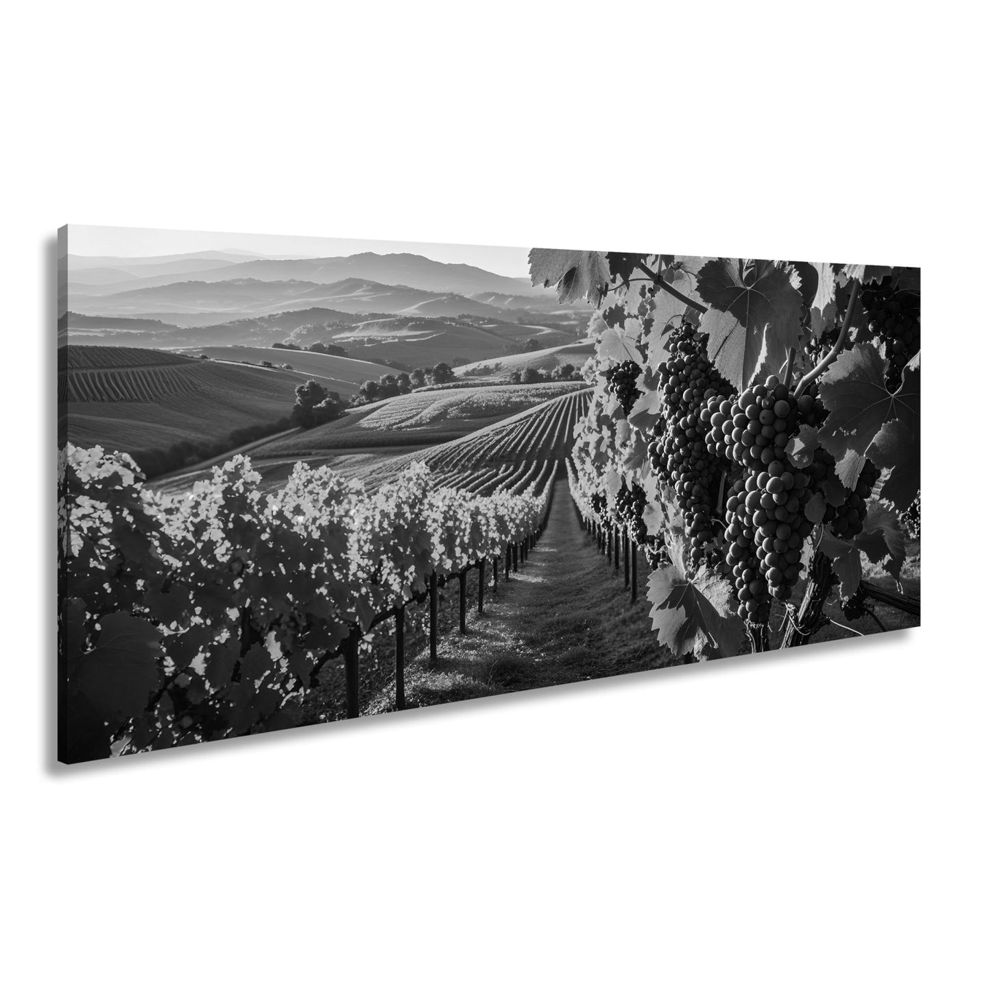 Leinwandbild Goldene Weinreben rollen über sonnige Hügel - deyoli