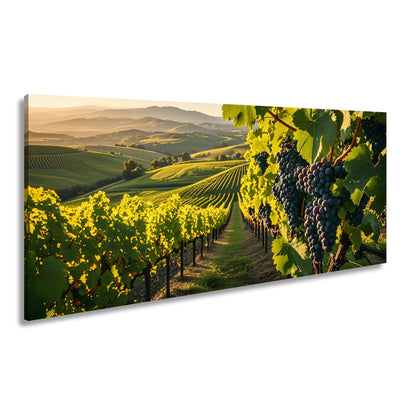Leinwandbild Goldene Weinreben rollen über sonnige Hügel - deyoli