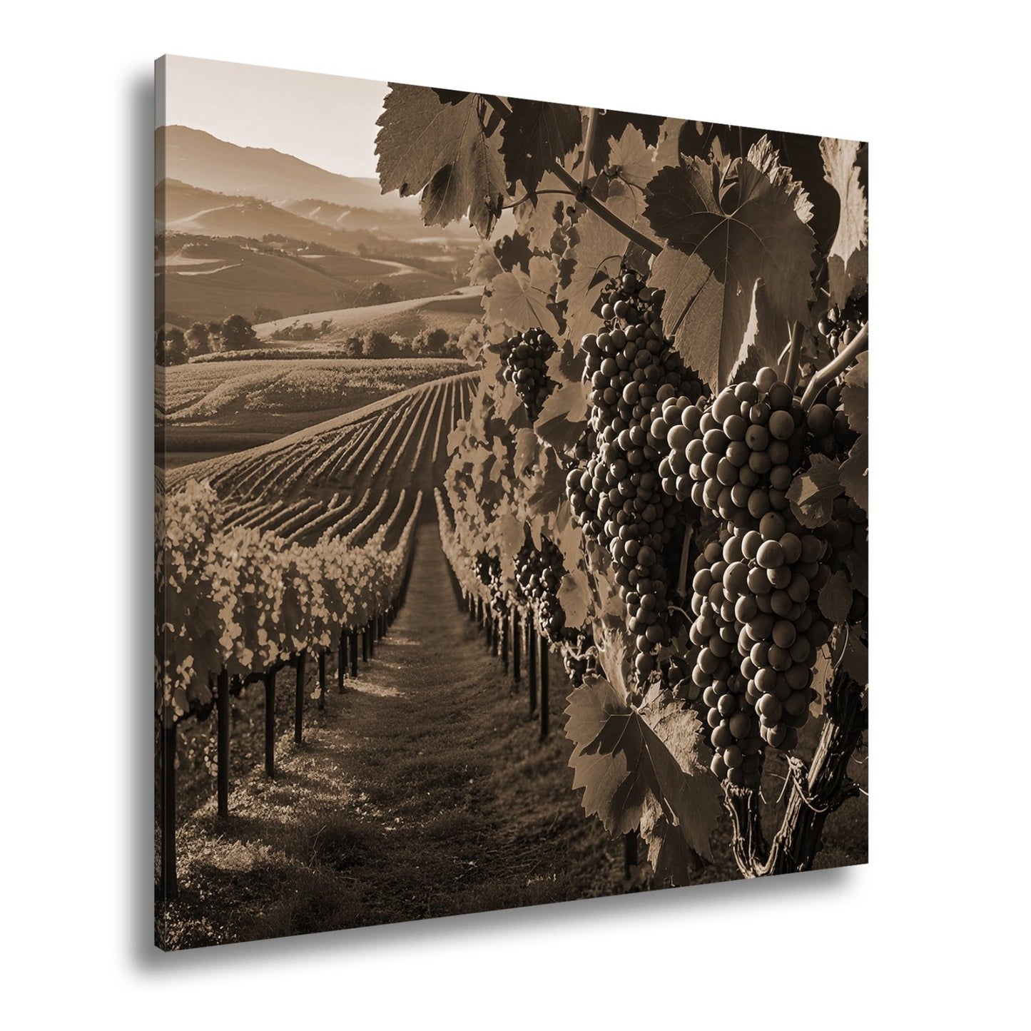 Leinwandbild Goldene Weinreben rollen über sonnige Hügel - deyoli