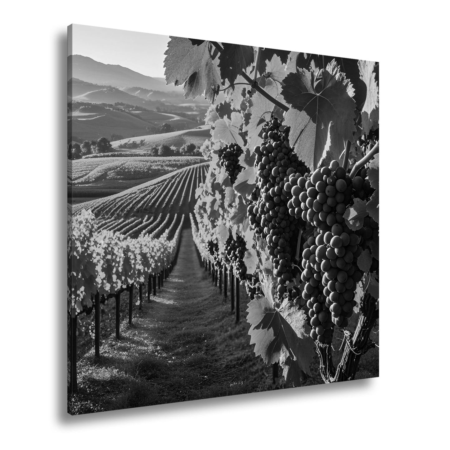 Leinwandbild Goldene Weinreben rollen über sonnige Hügel - deyoli