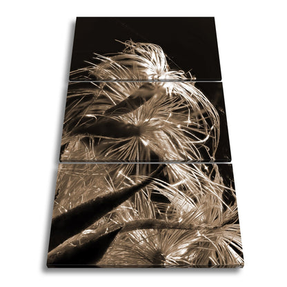 Leinwandbild Goldener Flaum im Licht – zartes Spiel der Natur. - deyoli