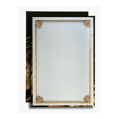 Leinwandbild Goldener Flaum im Licht – zartes Spiel der Natur. - deyoli