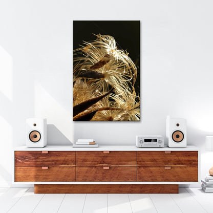 Leinwandbild Goldener Flaum im Licht – zartes Spiel der Natur. - deyoli