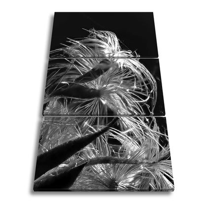Leinwandbild Goldener Flaum im Licht – zartes Spiel der Natur. - deyoli