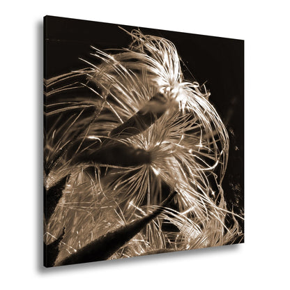 Leinwandbild Goldener Flaum im Licht – zartes Spiel der Natur. - deyoli