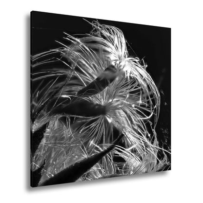 Leinwandbild Goldener Flaum im Licht – zartes Spiel der Natur. - deyoli