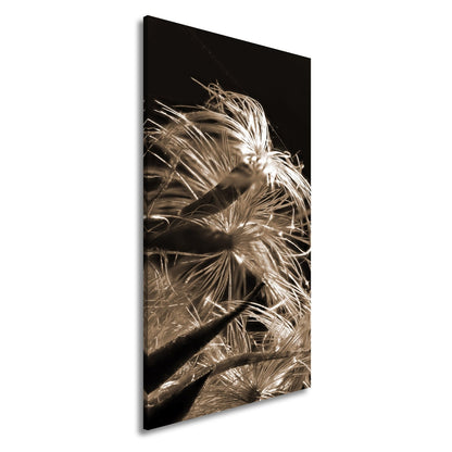Leinwandbild Goldener Flaum im Licht – zartes Spiel der Natur. - deyoli