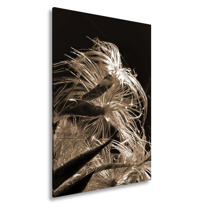 Leinwandbild Goldener Flaum im Licht – zartes Spiel der Natur. - deyoli