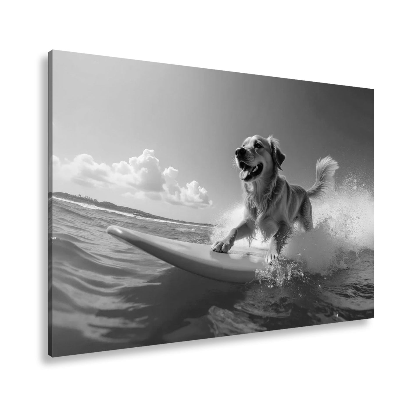 Leinwandbild Goldener Surferhund jagt Wellen im strahlenden Sonnenlicht - deyoli