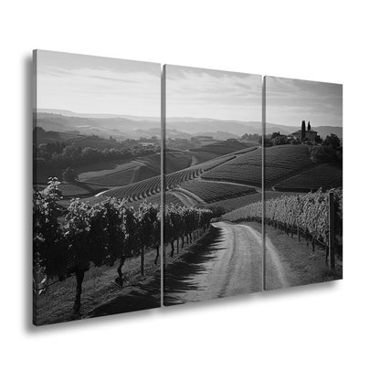 Leinwandbild Goldenes Licht über endlosen Weinbergen - deyoli