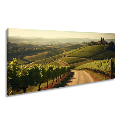 Leinwandbild Goldenes Licht über endlosen Weinbergen - deyoli