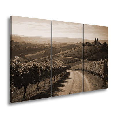 Leinwandbild Goldenes Licht über endlosen Weinbergen - deyoli