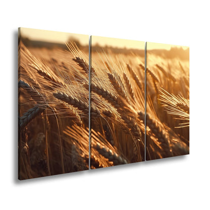 Leinwandbild Goldenes Weizenfeld – Tanzt im Abendlicht XXL Wandbild - deyoli